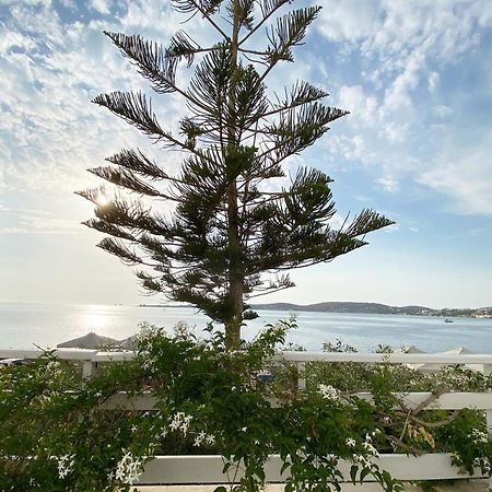 Lyra Seafront Apartment , Paroikia Town Center Zewnętrze zdjęcie