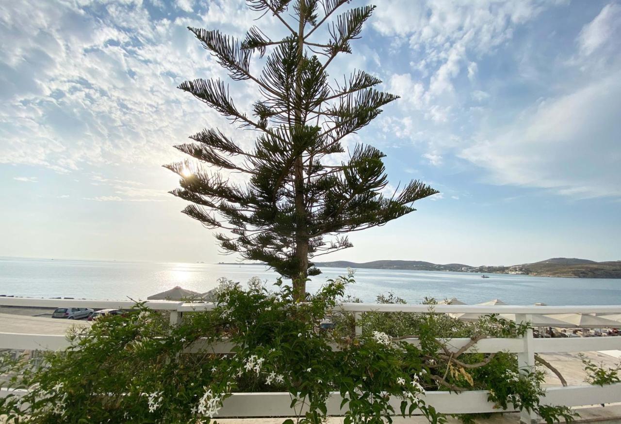 Lyra Seafront Apartment , Paroikia Town Center Zewnętrze zdjęcie